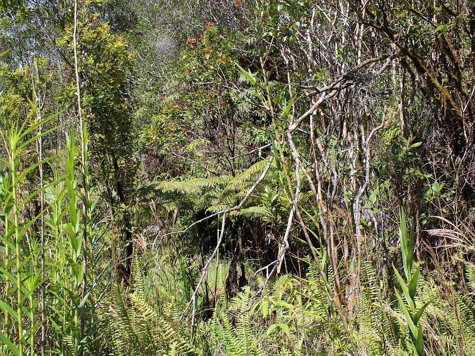 2nd image of Road 10 Lot 547