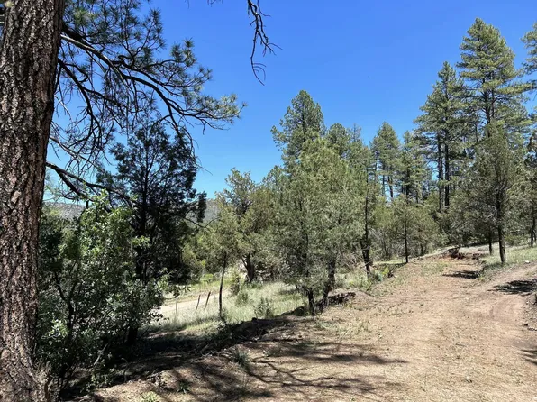 33 W Forest Svc Rd #200, Young, AZ 85554