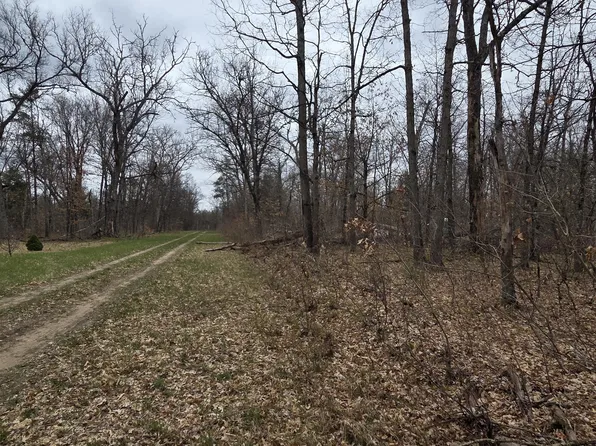 V/l W Mead St, Baldwin, MI 49304