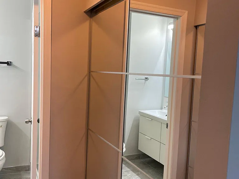 Walkthrough closet