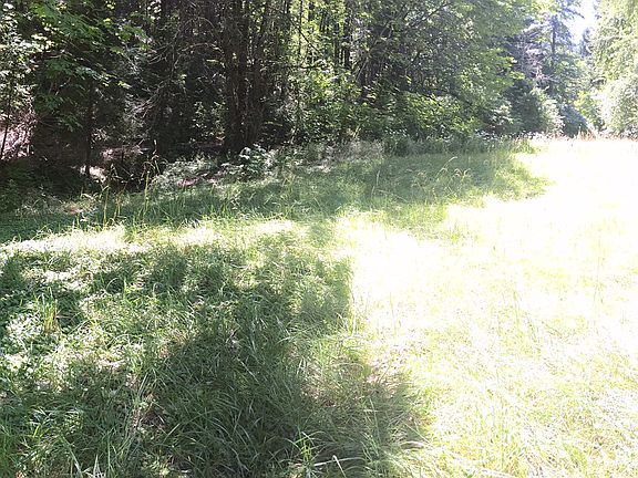 3rd image of 10433 Yank Gulch Road