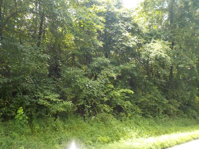 0 E County Rd #457-S, Winslow, IN, 47598