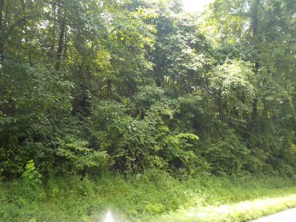 0 E County Rd #457-S, Winslow, IN 47598
