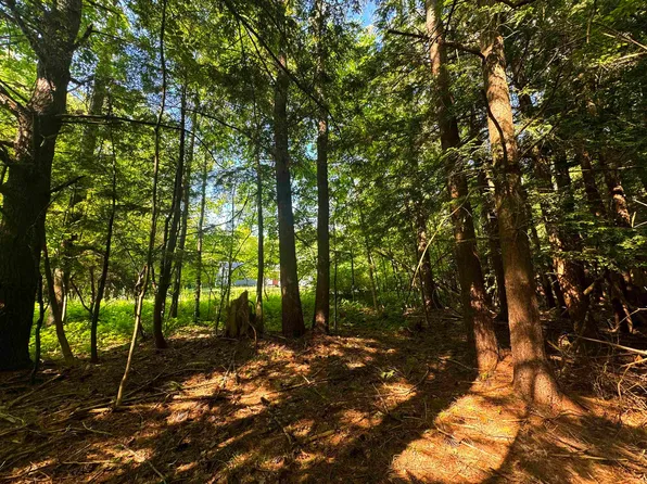 154 Olde Pine Lane, Wallingford, VT 05773