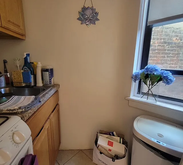 433 W 54th St #20 — Photo 9