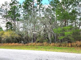 LOT 11 SW 152nd St LOT 11, Ocala, FL 34473