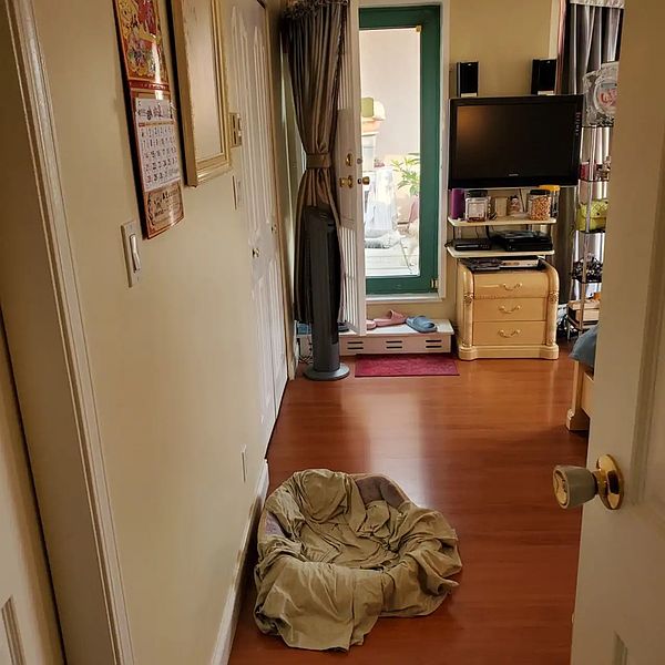 Vancouver Apartment for rent - 3 Bedrooms — photo 9