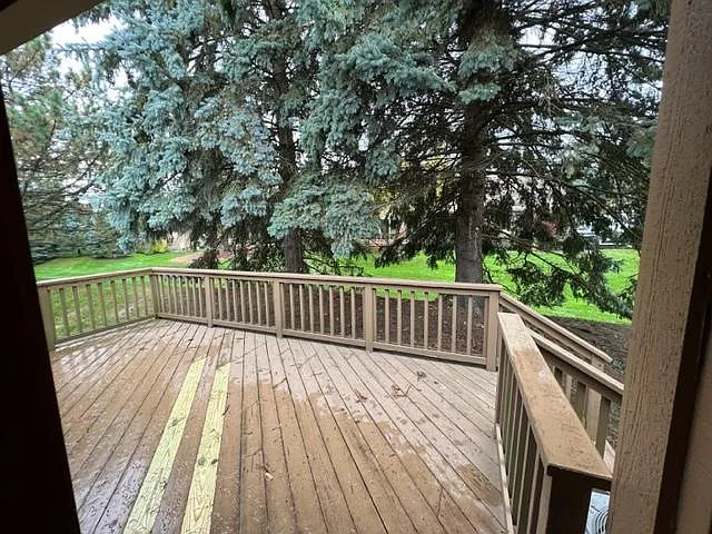 Back deck will be painted in the spring