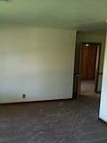 New Paint and Carpet