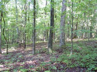 1 Kyndall Ln, Forsyth, GA 31029