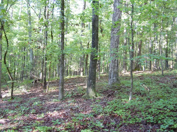 1 Kyndall Ln, Forsyth, GA 31029