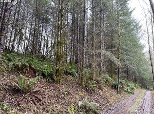 0 NE Buncombe Hollow Rd, Woodland, WA 98674
