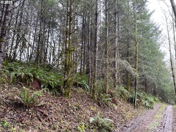 0 NE Buncombe Hollow Rd, Woodland, WA 98674