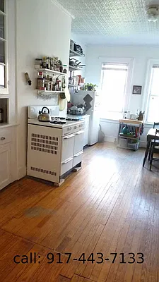 Rented by Brooklyn Real Estate Services | media 18