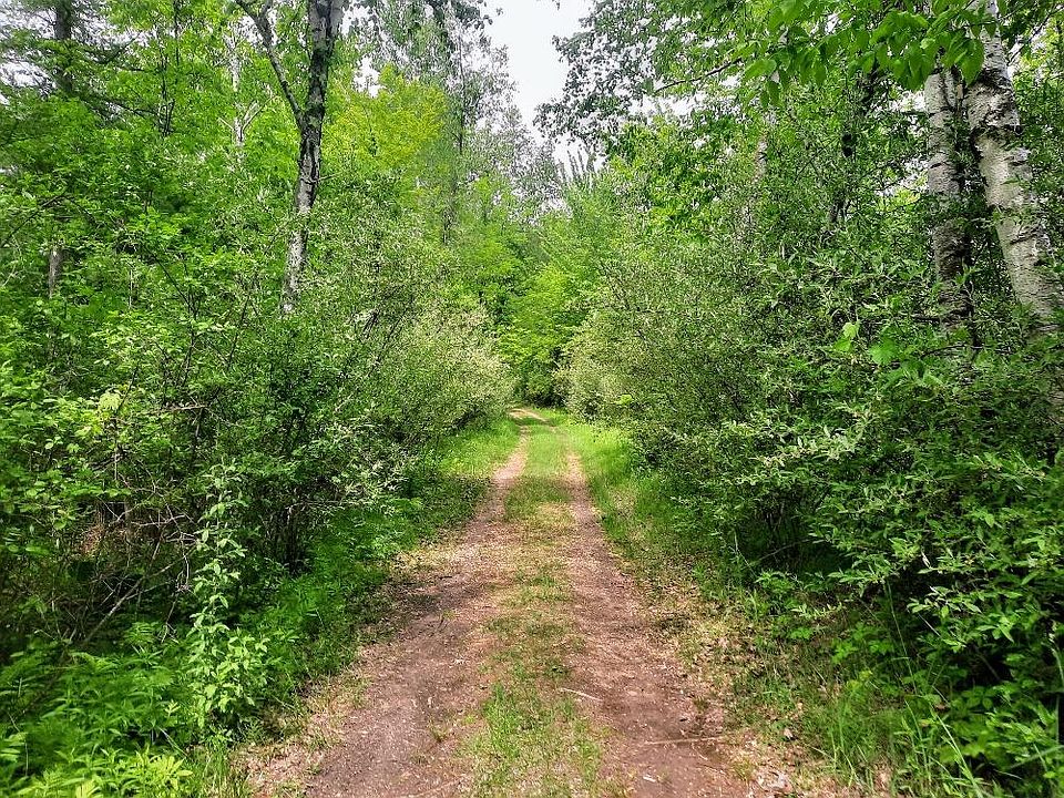 2nd image of 11 Penny Ln