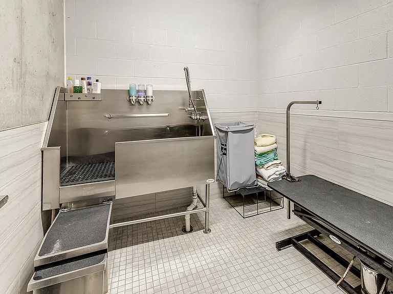 1000 Speer by Windsor is a pet friendly community, featuring a pet spa