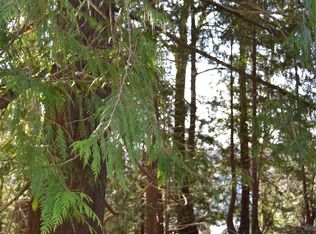 121 E Ridgeview Dr, Shelton, WA 98584