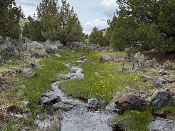 0 Wall Canyon Reservoir Rd, Gerlach, NV 89412