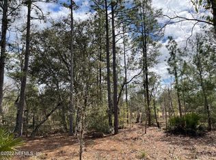 Neisman Ave, Interlachen, FL 32148