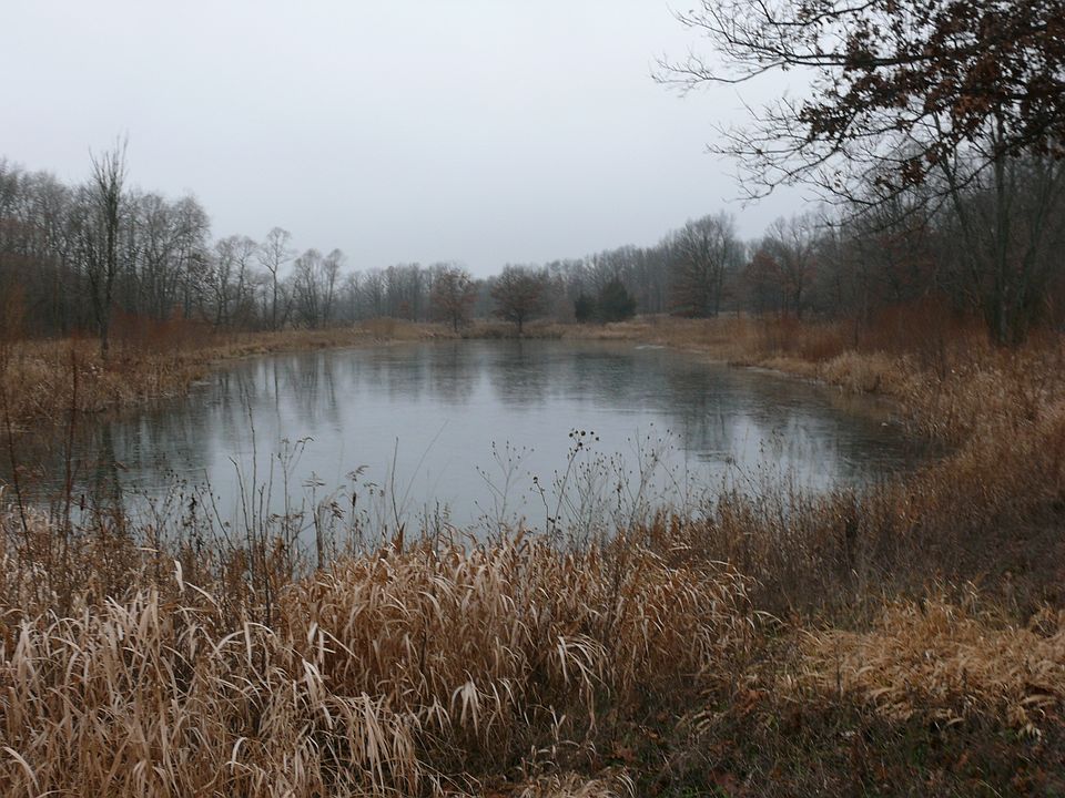 2nd image of Farley Rd