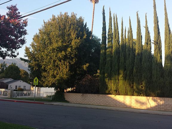 3rd image of 1107 Holly Ave