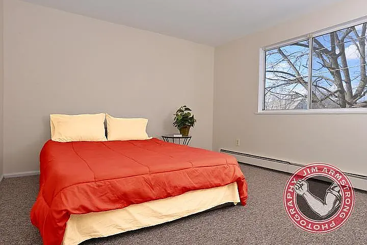 14 Sycamore St #11 — Photo 4