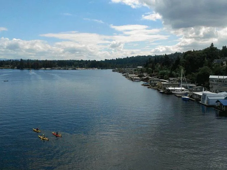 View across the street into portage bay and lake union. There are multiple kayak and boat launch spots across from the home for easy access to the water.