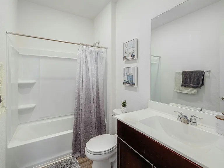 2504 Forgetmenot Ln — Photo 20