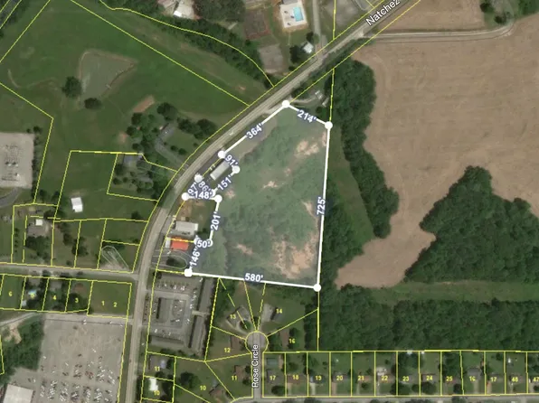 0 Natchez Trace Dr, Lexington, TN 38351