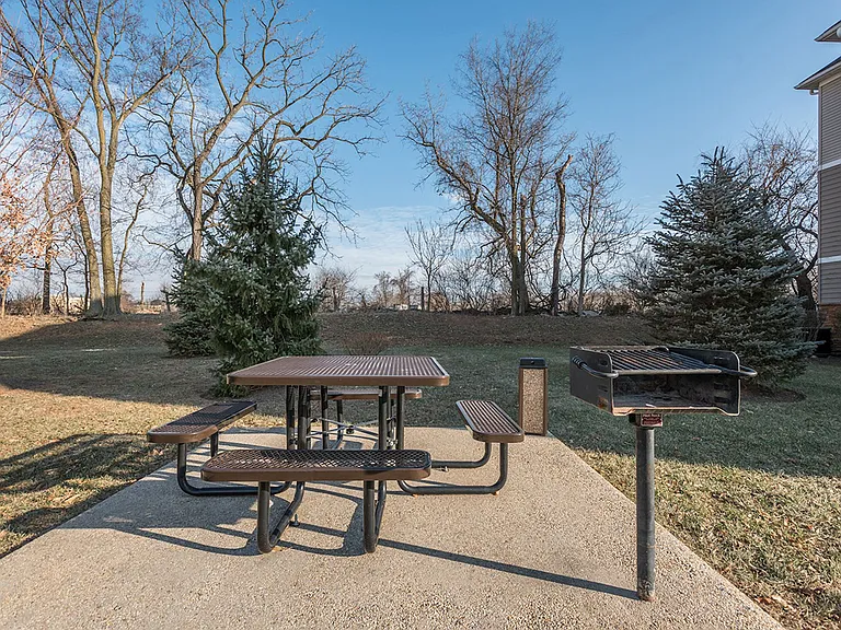 Grill Area & Picnic Table