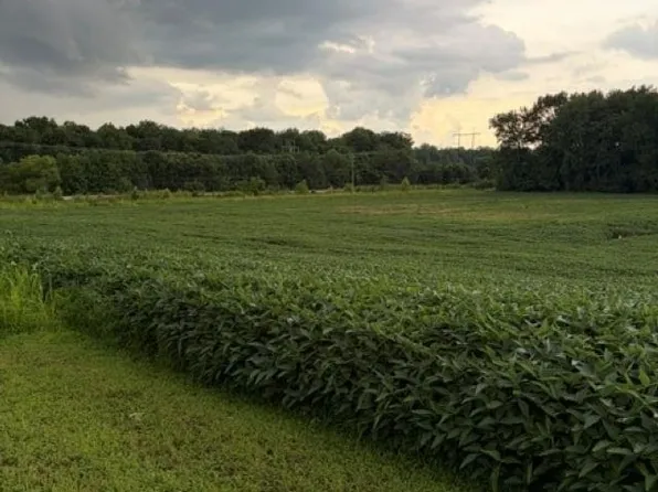 4684 Robards Busby Station Rd, Robards, KY 42452