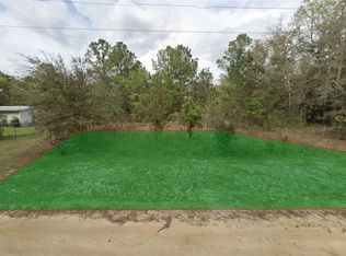 Arnold St LOT 17, Interlachen, FL 32148