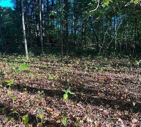 5th image of 196 Woodstock Dr Lot 176