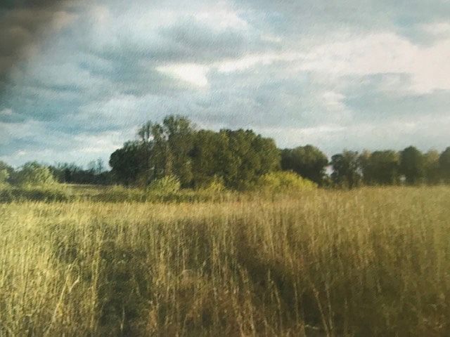 2nd image of 155 Windy City Rd