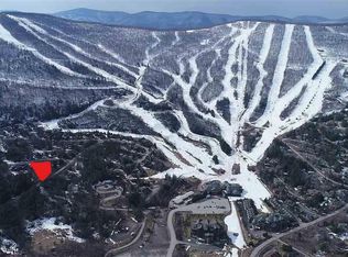 2 Twin Maples Vlg E, Windham, NY 12496