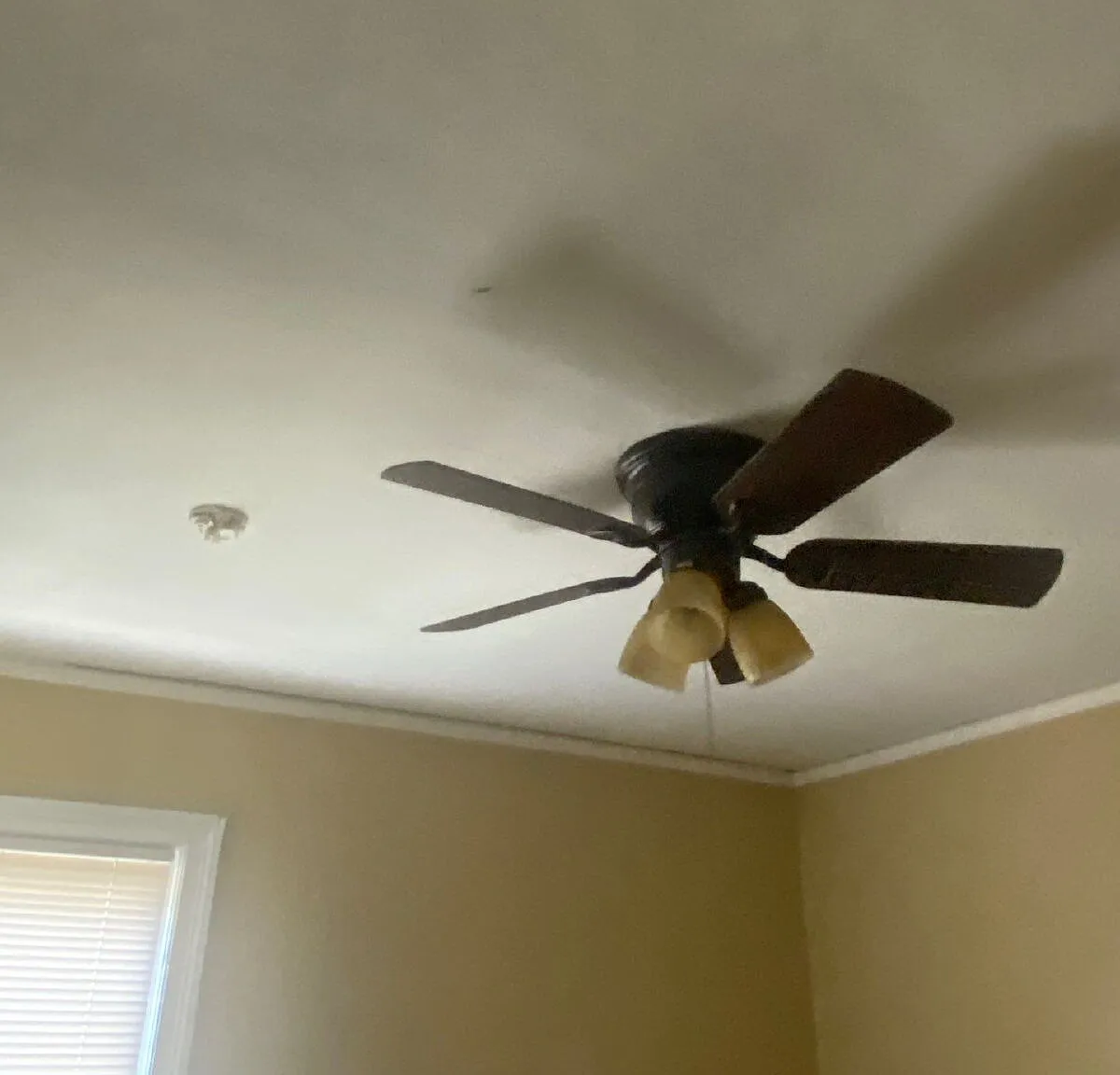 2 bed, 1.0 bath, 761 sqft, $1,200 — Photo 2