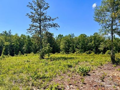 2C Cotton Lake Rd, Mc David, FL, 32568