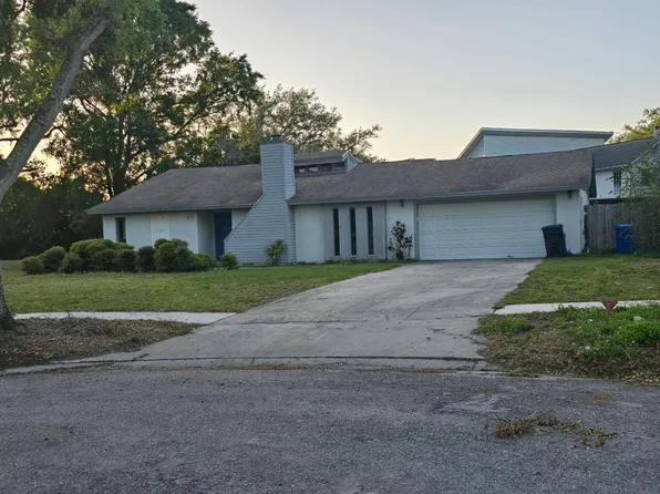 611 Blue Gill Ct, Tampa, FL 33613