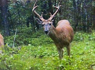 0 Jose Lake Rd, South Branch, MI 48761