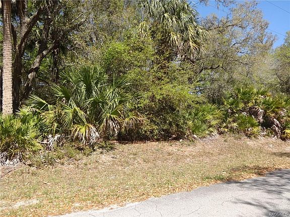 5th image of 12253 W Marjoram Pl