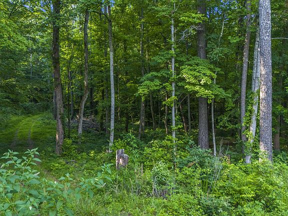 2nd image of 384 Harris Creek Rd SW