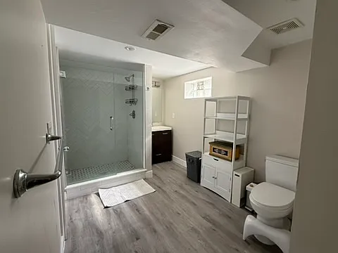 basement bathroom
