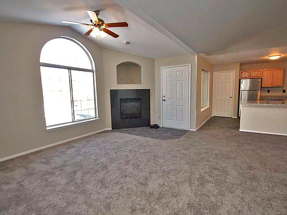 Fireplace and Entry