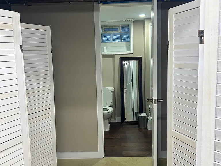 Basement storage (leads into full bathroom)