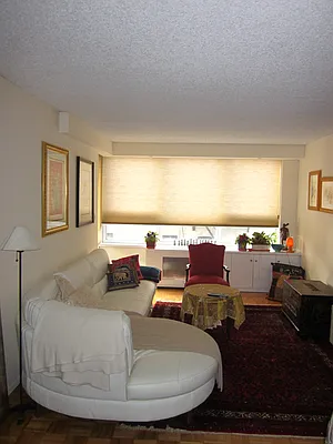 Sold by Manhattan Flats | media 8