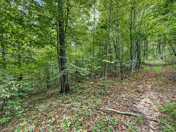 0 Timber Ridge Ln Lot 25&26, Celina, TN 38551