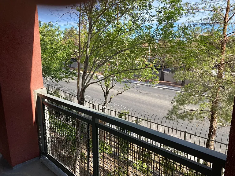 27 E Agate Ave #203 — Photo 11