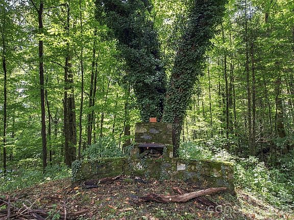 5th image of 151 Tiger Lily Ln