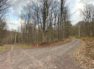 Madigan Ln Lot 51, Roscoe, NY 12776