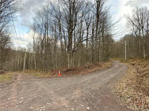 Madigan Ln Lot 51, Roscoe, NY 12776